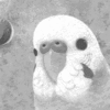 サムネイル：セキセイインコ