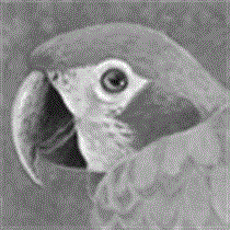 companion201110_t.gif