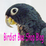 Birdist Bee Shop Blog