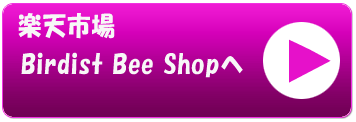 Birdist Bee Shop