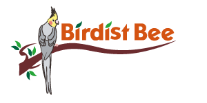 birdist bee