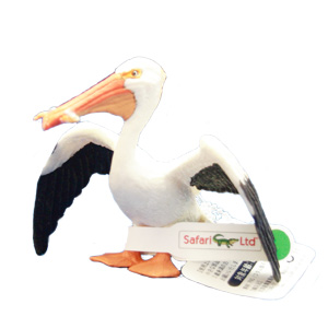 モモイロペリカン