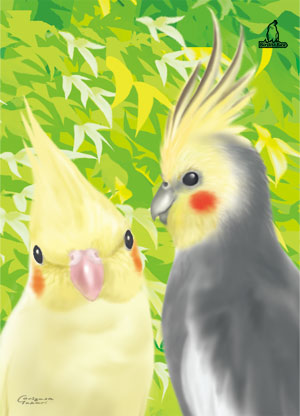 present_card1.jpg